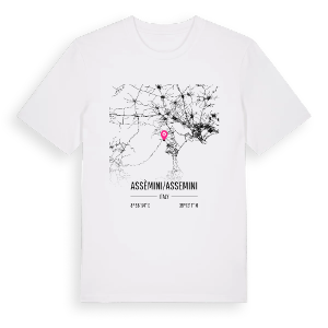 Assèmini/Assemini karta t-shirt – ekologisk bomull t-shirt från Pinshirt