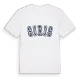 Siris college t-shirt
