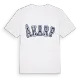 Åkarp college t-shirt