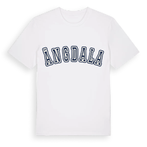 Ängdala college t-shirt – ekologisk bomull t-shirt från Pinshirt
