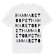 Hammaretorpet ordlek t-shirt
