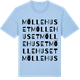 Blue Soul t-shirt med Möllehuset ordlek t-shirt