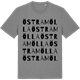 Mid Heather Gray t-shirt med Östramölla ordlek t-shirt