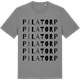 Mid Heather Gray t-shirt med Pilatorp ordlek t-shirt