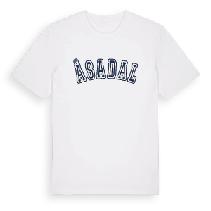 Åsadal college t-shirt – ekologisk bomull t-shirt från Pinshirt
