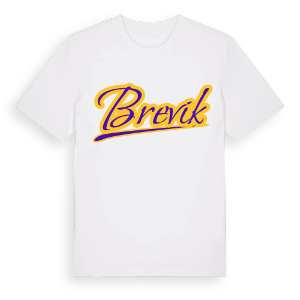 Brevik baseball t-shirt – ekologisk bomull t-shirt från Pinshirt