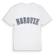 Horsvik college t-shirt