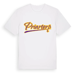 Priartorp baseball t-shirt – ekologisk bomull t-shirt från Pinshirt