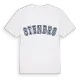 Stenbro college t-shirt