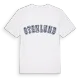 Stenlund college t-shirt