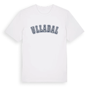 Ulladal college t-shirt – ekologisk bomull t-shirt från Pinshirt