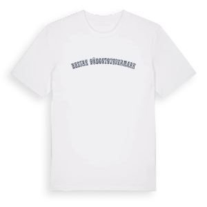 Bezirk Südoststeiermark college t-shirt – ekologisk bomull t-shirt från Pinshirt