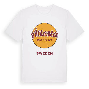 Åttesta cirkel t-shirt – ekologisk bomull t-shirt från Pinshirt