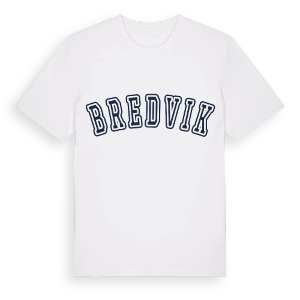 Bredvik college t-shirt – ekologisk bomull t-shirt från Pinshirt
