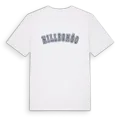 Hilleshög college t-shirt