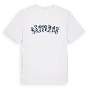 Sättinge college t-shirt – ekologisk bomull t-shirt från Pinshirt