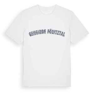 Gemeinde Föritztal college t-shirt – ekologisk bomull t-shirt från Pinshirt