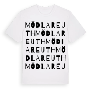 Mödlareuth ordlek t-shirt – ekologisk bomull t-shirt från Pinshirt