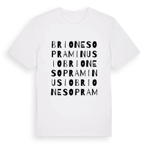 Brione sopra Minusio ordlek t-shirt – ekologisk bomull t-shirt från Pinshirt