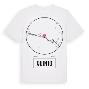 Quinto t-shirt – ekologisk bomull t-shirt från Pinshirt