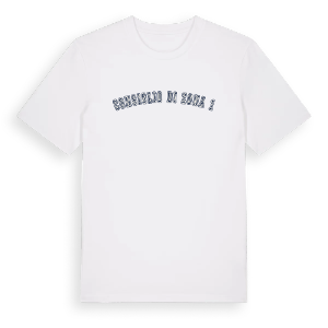 Consiglio di Zona 1 college t-shirt – ekologisk bomull t-shirt från Pinshirt