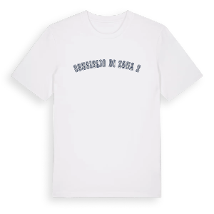 Consiglio di Zona 2 college t-shirt – ekologisk bomull t-shirt från Pinshirt