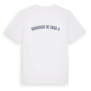 Consiglio di Zona 4 college t-shirt – ekologisk bomull t-shirt från Pinshirt