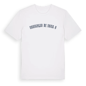 Consiglio di Zona 6 college t-shirt – ekologisk bomull t-shirt från Pinshirt