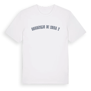 Consiglio di Zona 7 college t-shirt – ekologisk bomull t-shirt från Pinshirt