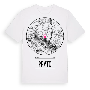 Prato t-shirt – ekologisk bomull t-shirt från Pinshirt
