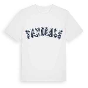 Panicale college t-shirt – ekologisk bomull t-shirt från Pinshirt