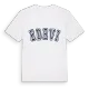 Edevi college t-shirt