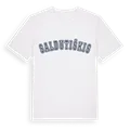 Saldutiškis college t-shirt