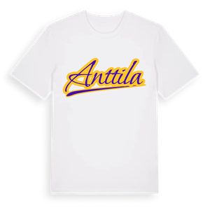 Anttila baseball t-shirt – ekologisk bomull t-shirt från Pinshirt