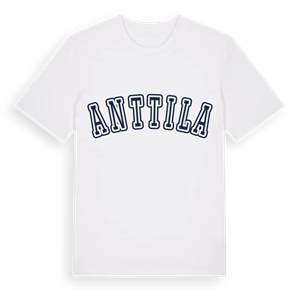 Anttila college t-shirt – ekologisk bomull t-shirt från Pinshirt