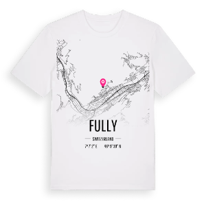 Fully karta t-shirt – ekologisk bomull t-shirt från Pinshirt