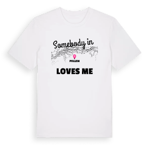 Någon i Pollein älskar mig t-shirt – ekologisk bomull t-shirt från Pinshirt