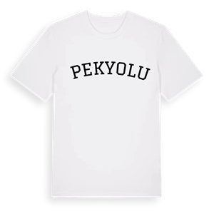 İpekyolu böjd t-shirt – ekologisk bomull t-shirt från Pinshirt