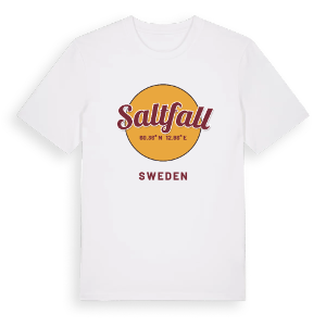 Saltfall cirkel t-shirt – ekologisk bomull t-shirt från PinShirt