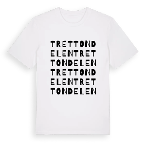 Trettondelen ordlek t-shirt – ekologisk bomull t-shirt från PinShirt