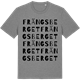 Mid Heather Gray t-shirt med Frängsberget ordlek t-shirt