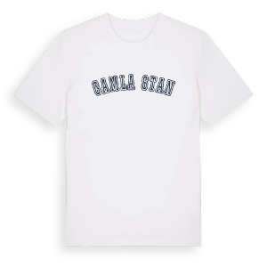 Gamla stan college t-shirt – ekologisk bomull t-shirt från Pinshirt