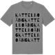 Mid Heather Gray t-shirt med Kattelboäng ordlek t-shirt