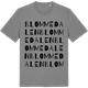 Mid Heather Gray t-shirt med Blommedalen ordlek t-shirt
