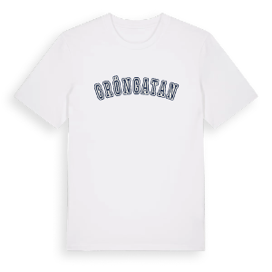 Gröngatan college t-shirt – ekologisk bomull t-shirt från Pinshirt