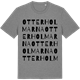 Mid Heather Gray t-shirt med Otterholmarna ordlek t-shirt