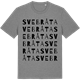 Mid Heather Gray t-shirt med Svebråta ordlek t-shirt