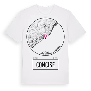 Concise t-shirt – ekologisk bomull t-shirt från Pinshirt