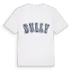Dully college t-shirt