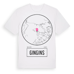 Gingins t-shirt – ekologisk bomull t-shirt från Pinshirt